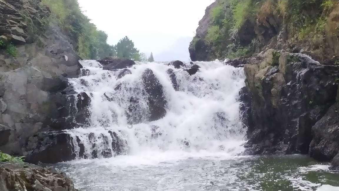 虫虫助手下载